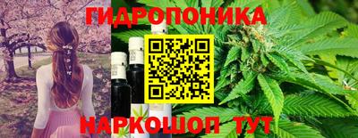 шишки Малгобек